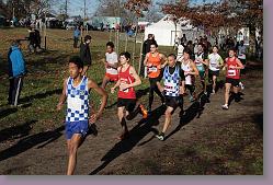 Begles 15.12.13 01 555 * 679 x 453 * (173KB)